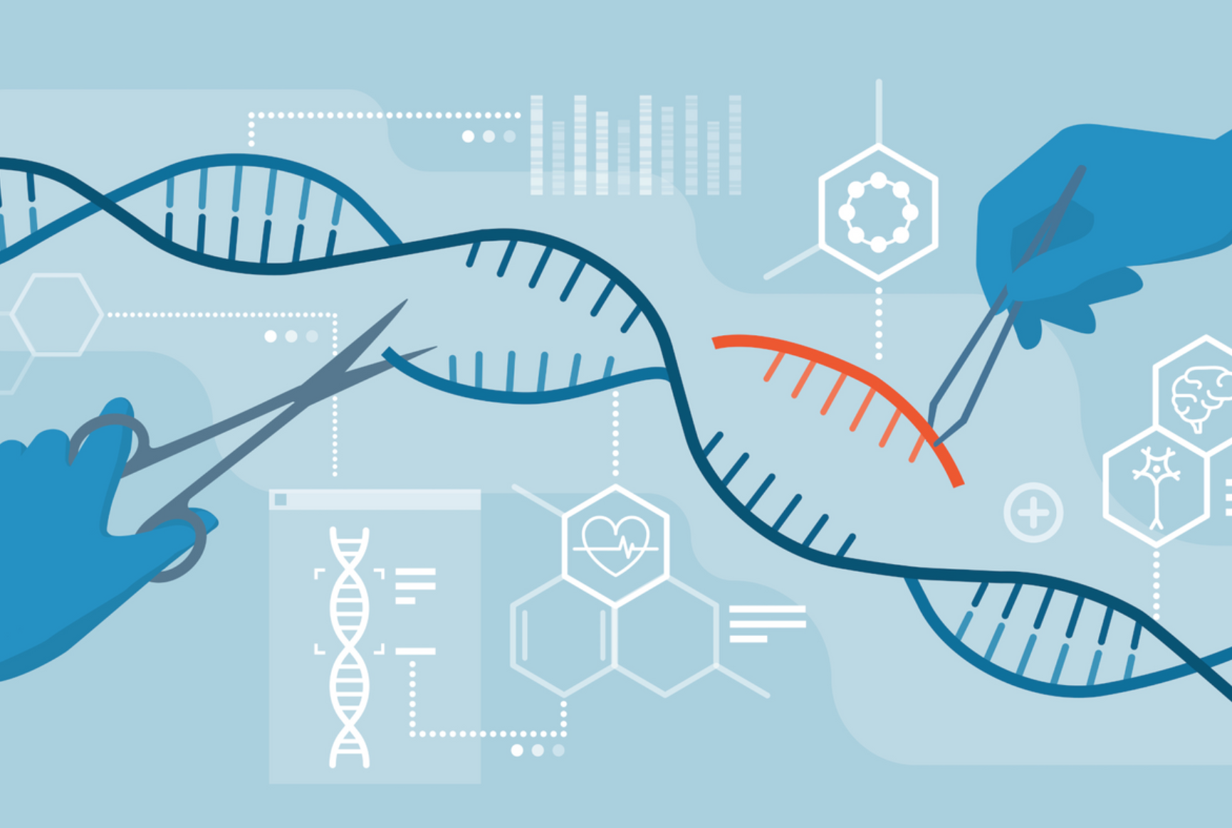 L’Oms valuta il “gene editing”. Morresi: «Pericolo di svilire la dignità umana» 1